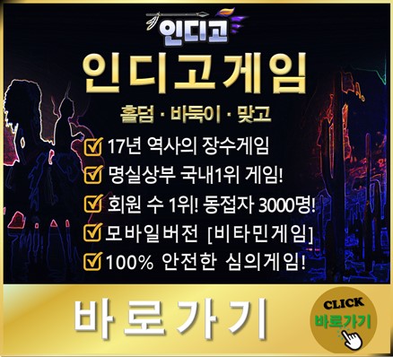 인디고게임.jpg